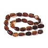 Natural Amber Beads Strands G-L095-C01-03-3