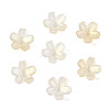 Acrylic Bead Caps OACR-I024-01A-1