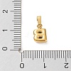 316L Surgical Stainless Steel Charms STAS-G315-01G-B-3