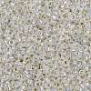 MIYUKI Round Rocailles Beads X-SEED-G009-RR0551-3