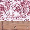 MIYUKI Delica Beads SEED-MY11-DB0282-4
