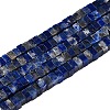 Natural Lapis Lazuli Beads Strands G-N342-70-1