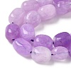 Dyed Natural Malaysia Jade Beads Strands G-P528-I10-01-3