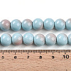 Baking Paint Glass Beads Strands DGLA-N012-10mm-06-4