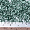 MIYUKI Round Rocailles Beads SEED-JP0008-RR2028-4