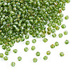 Picasso Baking Paint Glass Seed Beads SEED-TA0001-62E-2