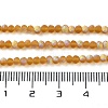 Imitation Jade Glass Beads Strands LS-EGLA-A034-T2mm-MB04-5