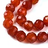 Dyed Natural Agate Beads Strands G-T141-16A-01-4