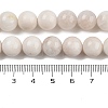 Natural Rainbow Moonstone Beads Strands G-N328-024-10mm-AB-6