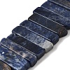 Natural Sodalite Beads Strands G-S386-D19-2