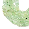 Natural Prehnite Beads Strands G-K395-B08-01-4