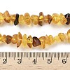 Natural Amber Beads Strands G-L095-D01-04-5
