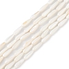 Natural Freshwater Shell Beads Strands SHEL-M018-09-2