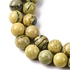 Natural Verdite Stone Beads Strands G-C242-03-8mm-4