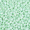 Baking Paint Glass Seed Beads SEED-N007-30B-3