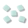 Opaque Acrylic Slide Charms OACR-Z010-01L-1