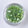 6/0 Glass Seed Beads SEED-S027-06B-13-2