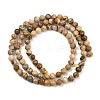 Natural Picture Jasper Beads Strands G-P572-B03-4mm-3