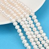 Natural Cultured Freshwater Pearl Beads Strands PEAR-I007-07Y-10A-1