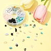 60G 6 Styles Natural & Synthetic  Gemstone Beads Chips G-FS0005-80-8