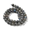 Natural Labradorite Beads Strands G-S333-6mm-035-4