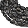 Natural Larvikite Beads Strands GG-C286-A28-3