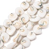 Natural Seashell Shell Beads Strands SH-CBAFA8D-01-1