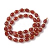 Natural Carnelian Beads Strands G-F809-A22-01-3