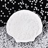 FGB Frosted Transparent Glass Seed Beads SEED-N013-04A-01-2