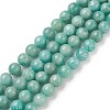 Natural Amazonite Beads Strands G-F461-12-10mm-01-1