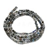 Natural Apatite Beads Strands G-RM2025-A23-2mm-3