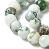 Natural Tree Agate Beads Strands G-K194-8mm-02-5