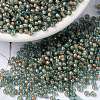 MIYUKI Round Rocailles Beads SEED-X0055-RR0351-4
