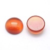 Natural Carnelian Cabochons G-P393-R41-12mm-2