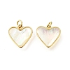 Natural White Shell & Epoxy Resin Charms KK-E794-02G-06-1