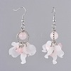 Dangle Earrings EJEW-JE04033-03-1