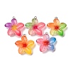 Transparent Resin Pendants RESI-A046-05F-2