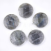 Natural Labradorite Pendants G-T112-29A-1