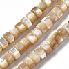 Natural Trochid Shell/Trochus Shell Beads Strands SSHEL-S266-016B-02-1
