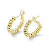 Brass Wire Wrap Spiral Hoop Earrings for Women EJEW-P215-01G-1