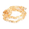 Natural Citrine Beads Strands G-P497-01C-39-3