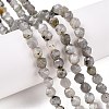 Natural Grey Labradorite Beads Strands G-T138-225-1