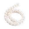 Natural Cultured Freshwater Pearl Beads Strands PEAR-C003-18C-3