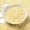 Glass Frosted Seed Beads SEED-K009-05B-08-2