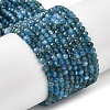 Natural Apatite Beads Strands G-K366-C07-2mm-2