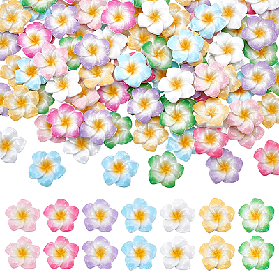 105Pcs 7 Colors Plumeria Flower Opaque Resin Cabochons CRES-UN0001-04-1