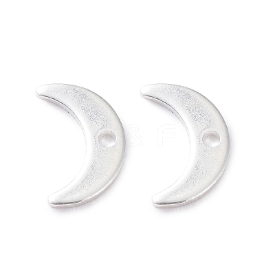 304 Stainless Steel Charms STAS-L234-073S-1