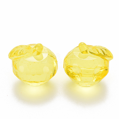 Transparent Acrylic Pendants TACR-T024-05B-916-1