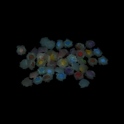 Luminous Resin Decoden Cabochons RESI-K036-06L-1