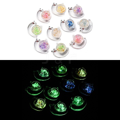 Luminous Transparent Acrylic Pendants TACR-P010-03-1